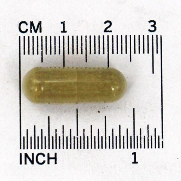Comprar Folha de Oliveira 500 mg. - Cápsulas vegetarianas 100 Nature's Way - Imagem 4
