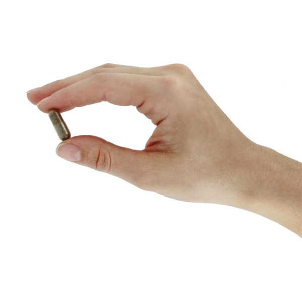 Comprar Gerenciador de açúcar no sangue Premium Blend - Cápsulas 90 Nature's Way - Imagem 5