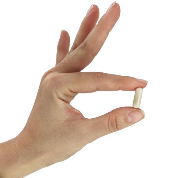 Comprar Nattokinase 100 mg. - 120 Cápsula (s) vegetal (s) NOW Foods - Imagem 5