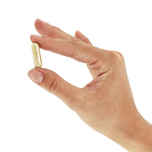 Comprar Defesa Celular de Bioflavonóides Cítricos - Cápsulas 100 NOW Foods - Imagem 5