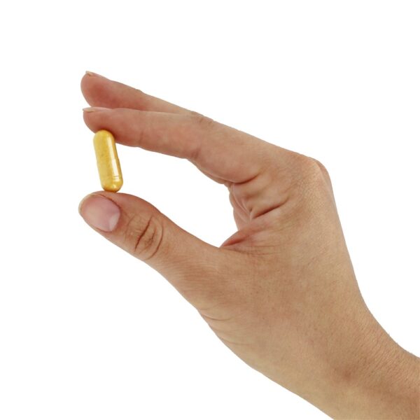 Comprar Complexo Vitamina B100 - Cápsulas 100 Nature's Way - Imagem 5
