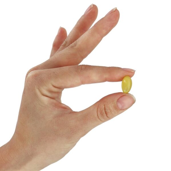 Comprar Alho Inodoro 50 mg. - 250 Softgels NOW Foods - Imagem 5