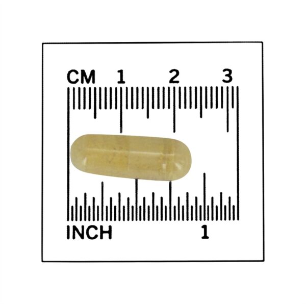 Comprar Força dupla da mg 300 mg . - 50 Cápsula (s) vegetal (s) NOW Foods - Imagem 4