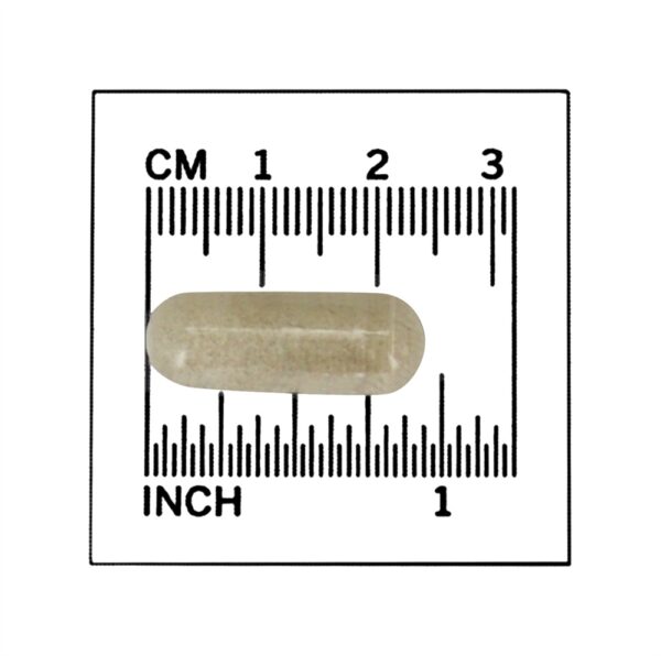 Comprar TestoJack 100 Fórmula masculina de desempenho - 60 Cápsula (s) vegetal (s) NOW Foods - Imagem 4