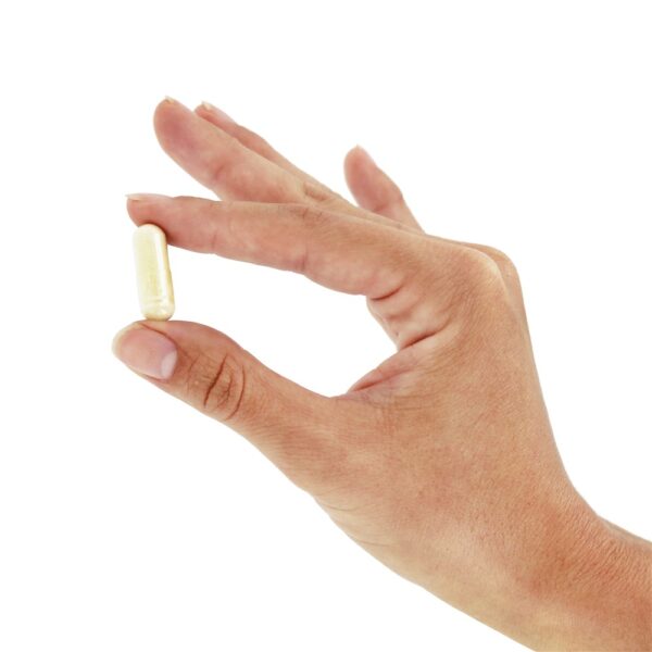 Comprar Gelatina de carne 550 mg. - Cápsulas 200 NOW Foods - Imagem 5