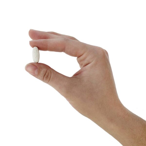 Comprar Boswellia Padronizado - 60 Tablets Nature's Way - Imagem 5
