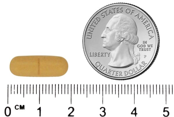 Comprar Lipoflavonoi Mais Extra Força Unique Ouvido Saúde Fórmula - 100 Cápsulas DSE Healthcare Solutions - Imagem 6