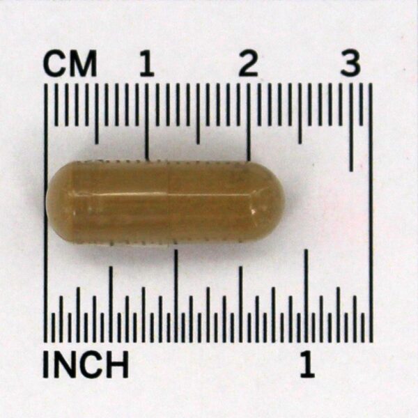 Comprar Raiz de Burdock 475 mg. - Cápsulas vegetarianas 100 Nature's Way - Imagem 4