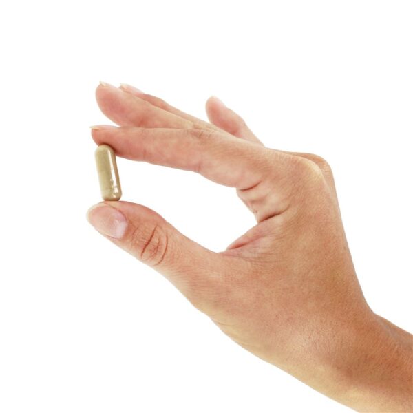 Comprar Raiz de Burdock 475 mg. - Cápsulas vegetarianas 100 Nature's Way - Imagem 5