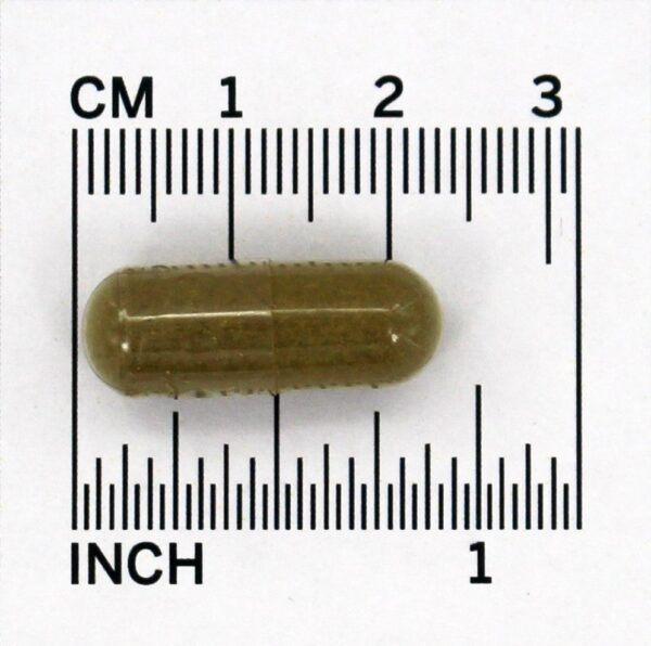 Comprar Grama de Cavalinha 440 mg. - Cápsulas vegetarianas 100 Nature's Way - Imagem 4