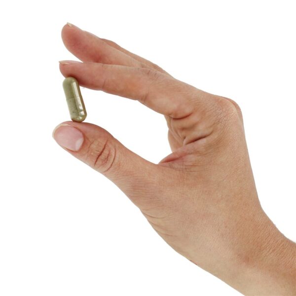 Comprar Grama de Cavalinha 440 mg. - Cápsulas vegetarianas 100 Nature's Way - Imagem 5