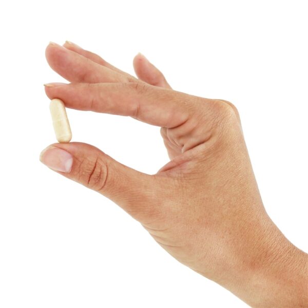 Comprar Primadophilus Optima 35 Bilhões de UFC - Cápsulas vegetarianas 60 Nature's Way - Imagem 6
