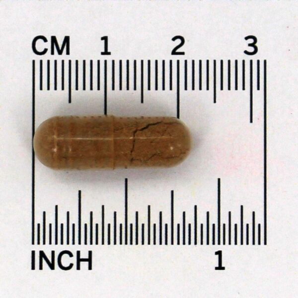 Comprar Salgueiro 400 mg. - Cápsulas vegetarianas 100 Nature's Way - Imagem 4