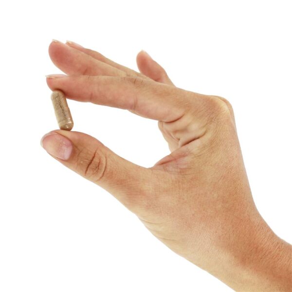 Comprar Salgueiro 400 mg. - Cápsulas vegetarianas 100 Nature's Way - Imagem 5