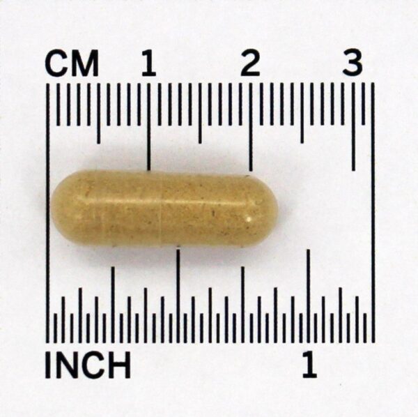 Comprar Selvagem Inhame Raiz 425 mg. - Cápsulas vegetarianas 100 Nature's Way - Imagem 4