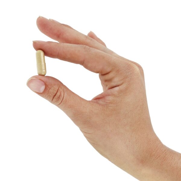 Comprar Selvagem Inhame Raiz 425 mg. - Cápsulas vegetarianas 100 Nature's Way - Imagem 5