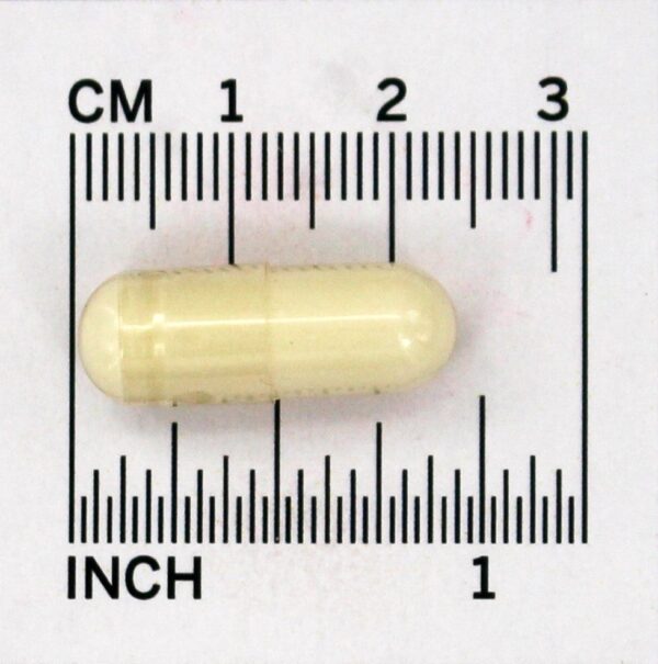 Comprar Hydraplenish - Cápsulas vegetarianas 60 Nature's Way - Imagem 4