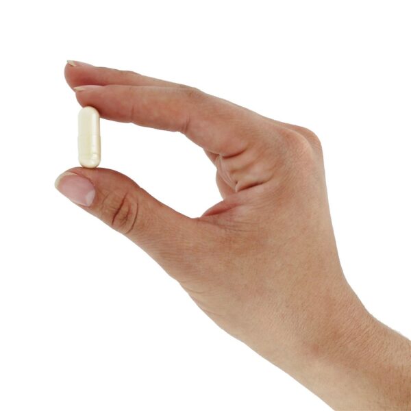 Comprar Hydraplenish - Cápsulas vegetarianas 60 Nature's Way - Imagem 5