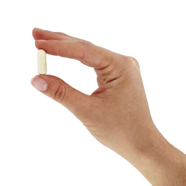 Comprar Hidraplenish com MSM - Cápsulas vegetarianas 60 Nature's Way - Imagem 5