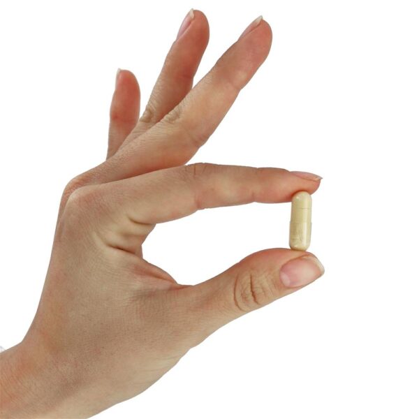 Comprar Isoflavonas de Soja 60 mg. - 120 Cápsula (s) vegetal (s) NOW Foods - Imagem 5