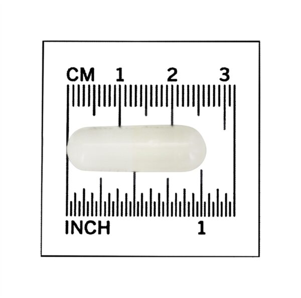 Comprar Arginina Tri-Amino / Ornitina / Lisina - Cápsulas 120 NOW Foods - Imagem 4