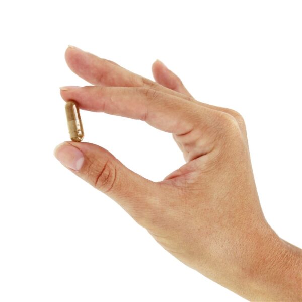 Comprar Extrato de casca de salgueiro 400 mg . - Cápsulas 100 NOW Foods - Imagem 5
