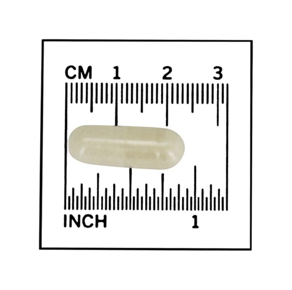 Comprar Suporte ao Neurotransmissor 5-HTP de Força Dupla 200 mg. - 60 Cápsula (s) vegetal (s) NOW Foods - Imagem 4