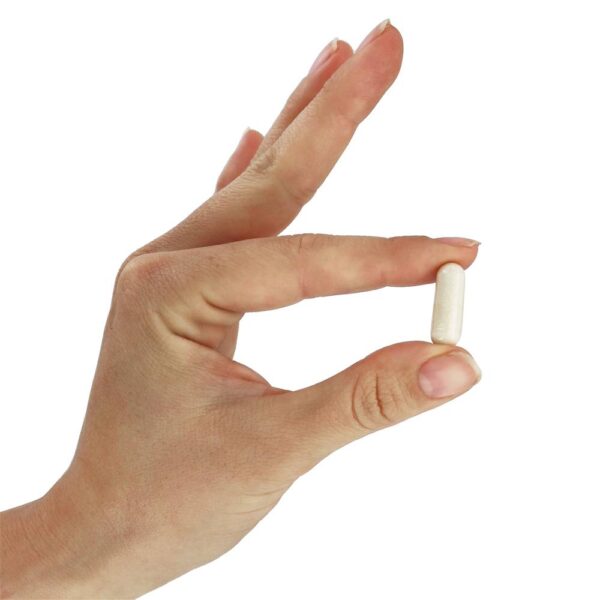 Comprar Suporte ao Neurotransmissor 5-HTP de Força Dupla 200 mg. - 60 Cápsula (s) vegetal (s) NOW Foods - Imagem 5