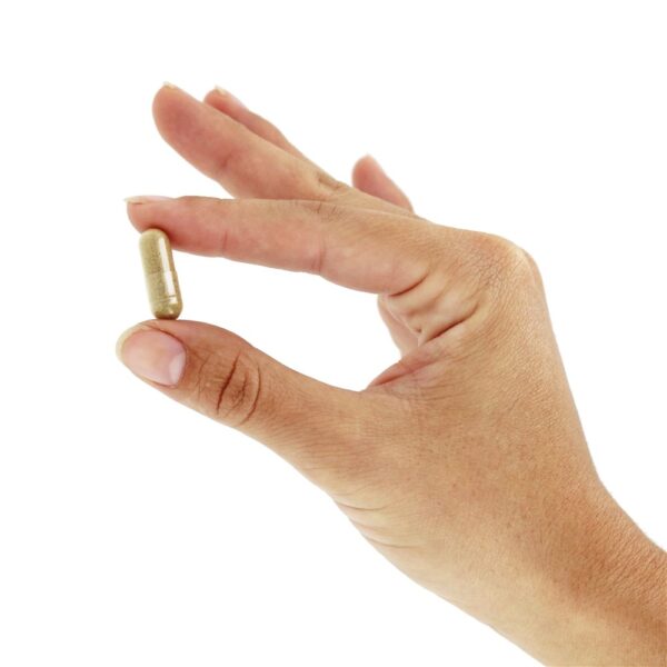 Comprar Alívio da constipação ocasional de Cascara Sagrada 350 mg . - Cápsulas Vegan 180 Nature's Way - Imagem 5