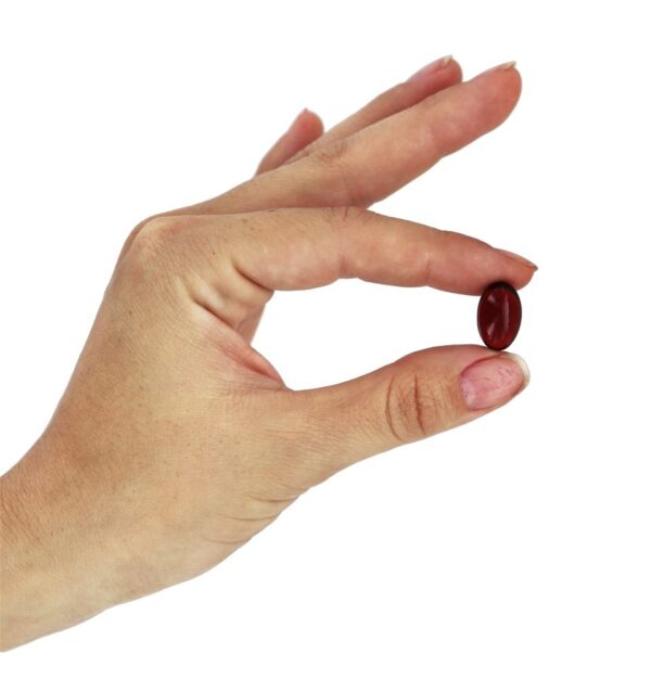 Comprar Óleo de Krill Neptune 500 mg. - 60 Softgels NOW Foods - Imagem 5