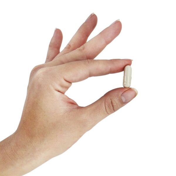 Comprar 5-HTP 100 mg. - 60 Cápsula (s) vegetal (s) NOW Foods - Imagem 5