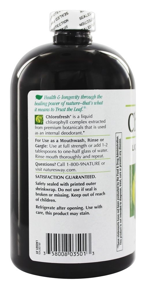 Comprar Clorofresh Clorofila Líquida Aroma De Hortelã Natural - 16 fl. oz. Nature's Way - Imagem 3