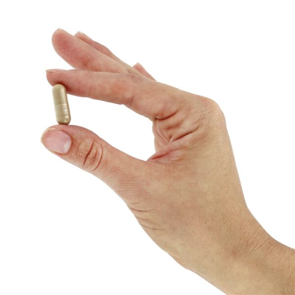 Comprar Raiz Secundária da Garra do Diabo 480 mg. - Cápsulas vegetarianas 100 Nature's Way - Imagem 5