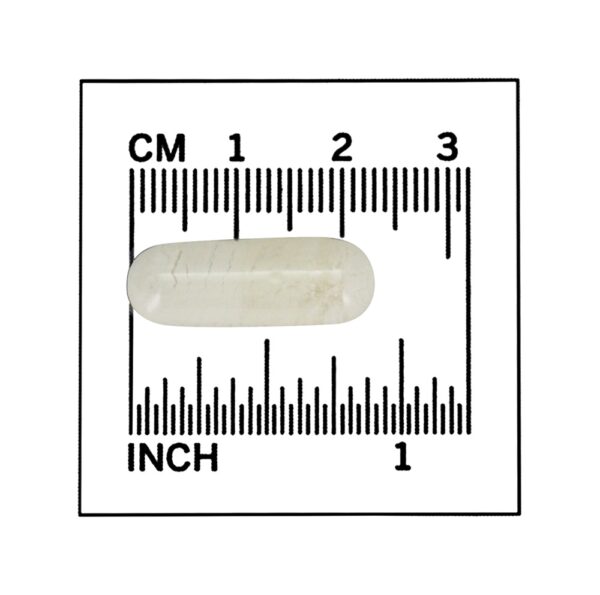 Comprar Cartilagem de Tubarão 750 mg. - Cápsulas 300 NOW Foods - Imagem 4