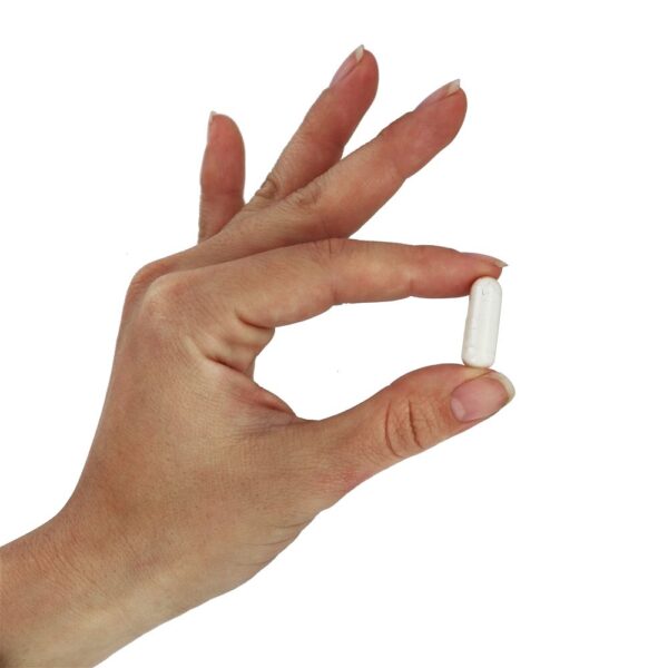Comprar Cartilagem de Tubarão 750 mg. - Cápsulas 300 NOW Foods - Imagem 5