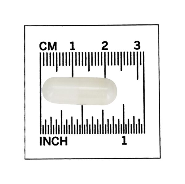 Comprar Acetil L-Carnitina 500 mg. - 50 Cápsula (s) vegetal (s) NOW Foods - Imagem 4