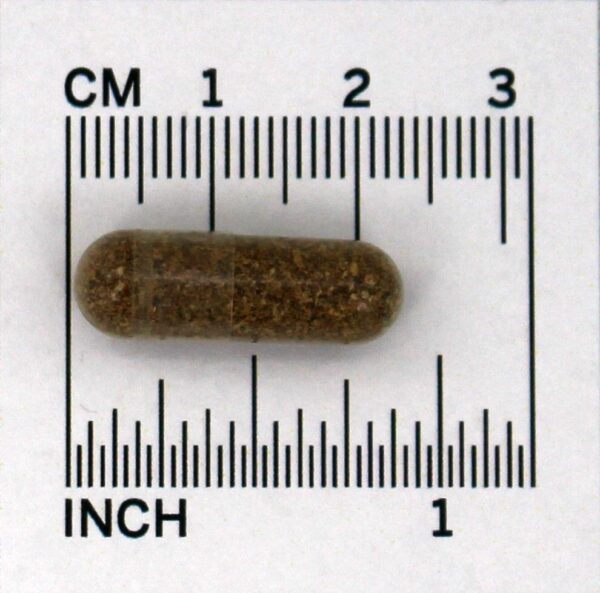 Comprar Frutos de Saw Palmetto 585 mg. - Cápsulas vegetarianas 180 Nature's Way - Imagem 4