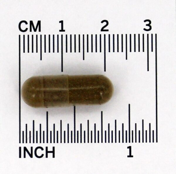 Comprar Senna Deixa 450 mg. - Cápsulas vegetarianas 100 Nature's Way - Imagem 4