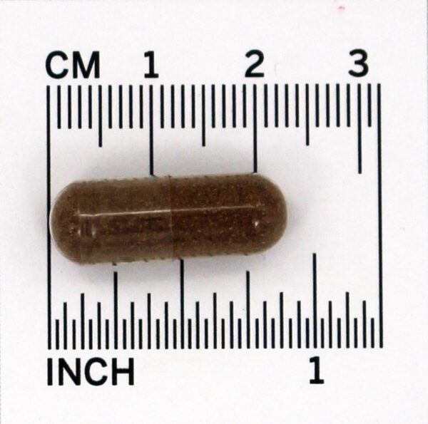Comprar Sabugueiro preto 575 mg. - Cápsulas vegetarianas 100 Nature's Way - Imagem 4