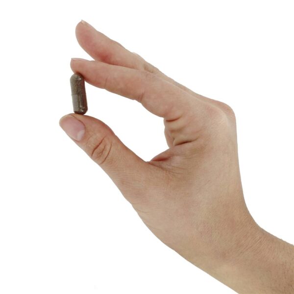 Comprar Sabugueiro preto 575 mg. - Cápsulas vegetarianas 100 Nature's Way - Imagem 5