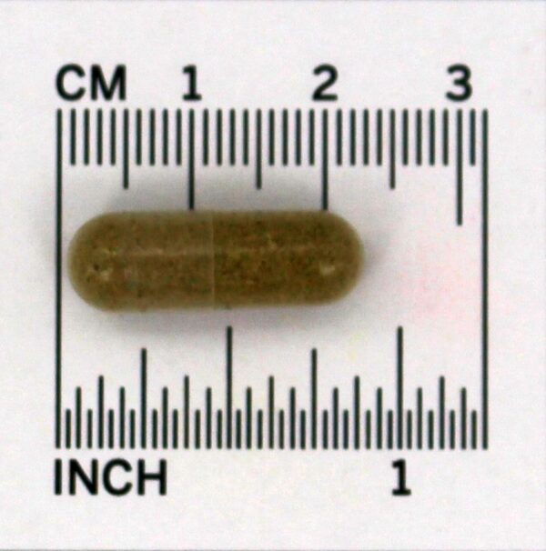Comprar Bexiga Renal 465 mg. - Cápsulas vegetarianas 100 Nature's Way - Imagem 4