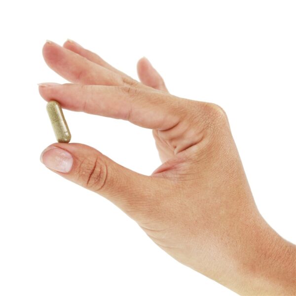 Comprar Bexiga Renal 465 mg. - Cápsulas vegetarianas 100 Nature's Way - Imagem 5