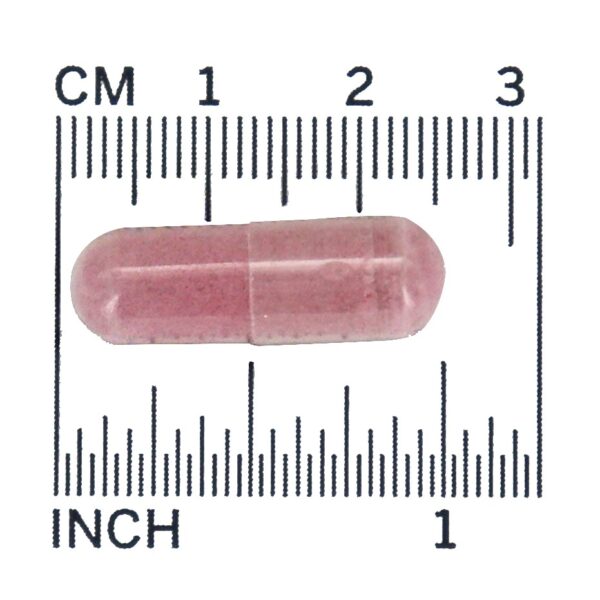Comprar Concentrado de cereja 750 mg . - 90 Cápsula (s) vegetal (s) NOW Foods - Imagem 4