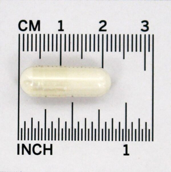 Comprar Enzima Lactase 690 mg. - Cápsulas 100 Nature's Way - Imagem 4