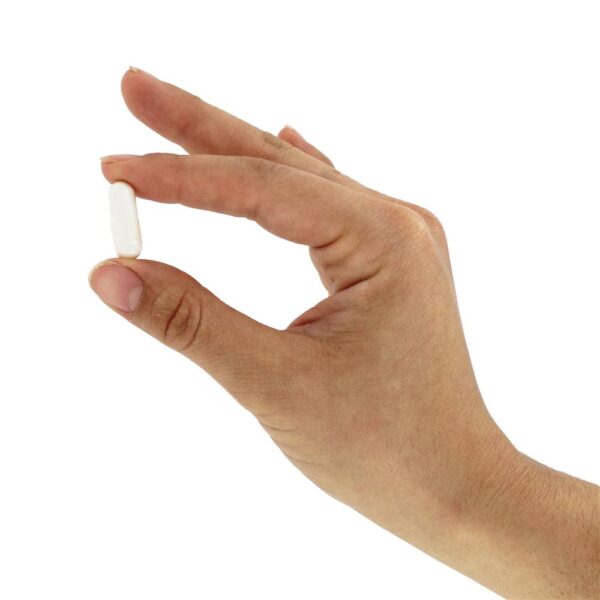 Comprar Enzima Lactase 690 mg. - Cápsulas 100 Nature's Way - Imagem 5