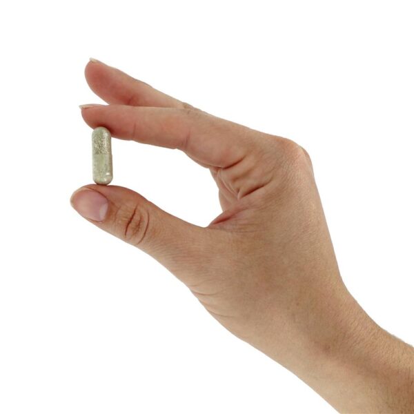 Comprar Vivo Múltiplas-Vitamina Inteiro Comida Energizer Não Ferro Adicionado - Cápsulas vegetarianas 90 Nature's Way - Imagem 6