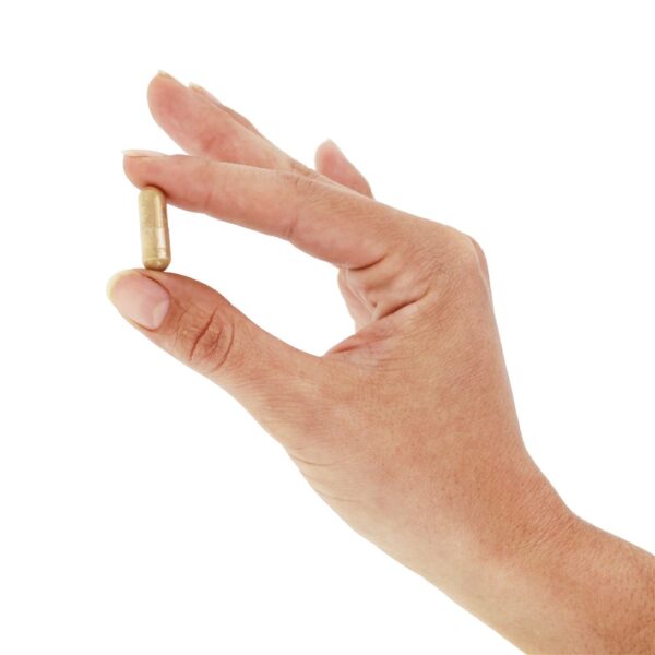Comprar Raiz Maca 525 mg. - Cápsulas vegetarianas 100 Nature's Way - Imagem 5