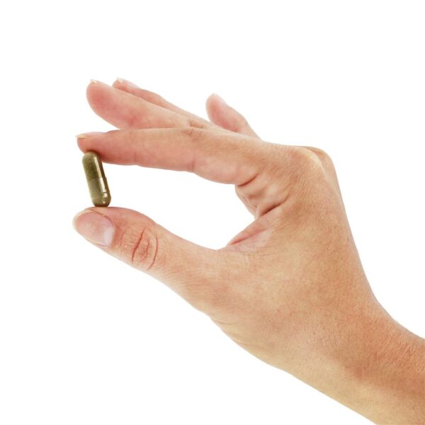Comprar Mistura de suporte digestivo com fenu-tomilho 900 mg . - Cápsulas Vegan 100 Nature's Way - Imagem 5
