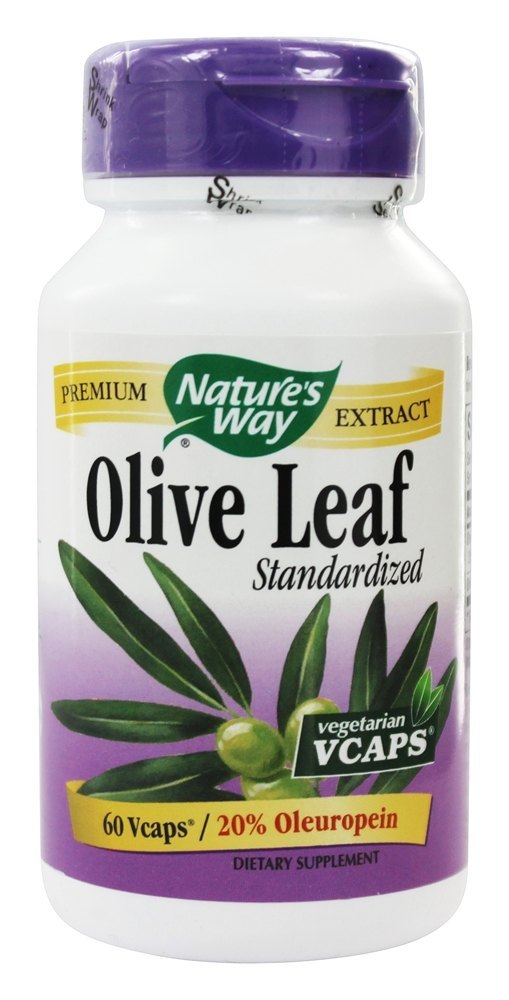 Comprar Folha de Azeitona Padronizada 20 % - Cápsulas vegetarianas 60 Nature's Way