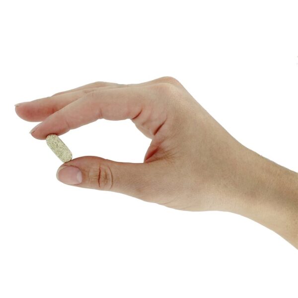 Comprar Éster C com Bioflavonóides Cítricos 500 mg. - 90 Comprimidos vegetarianos American Health - Imagem 5